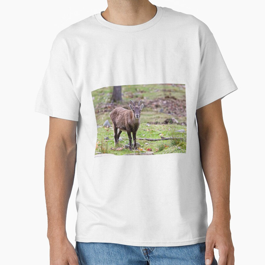 Baby Ibex by Michael Cummings T-Shirts, Hoodie, Sweatshirt | BlankRebels.com (Image 1)