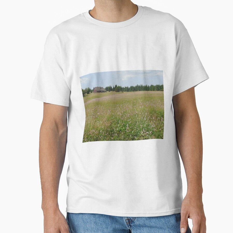 Summer meadow in Jizera Mountains, Czech Republic by lusiakotowska