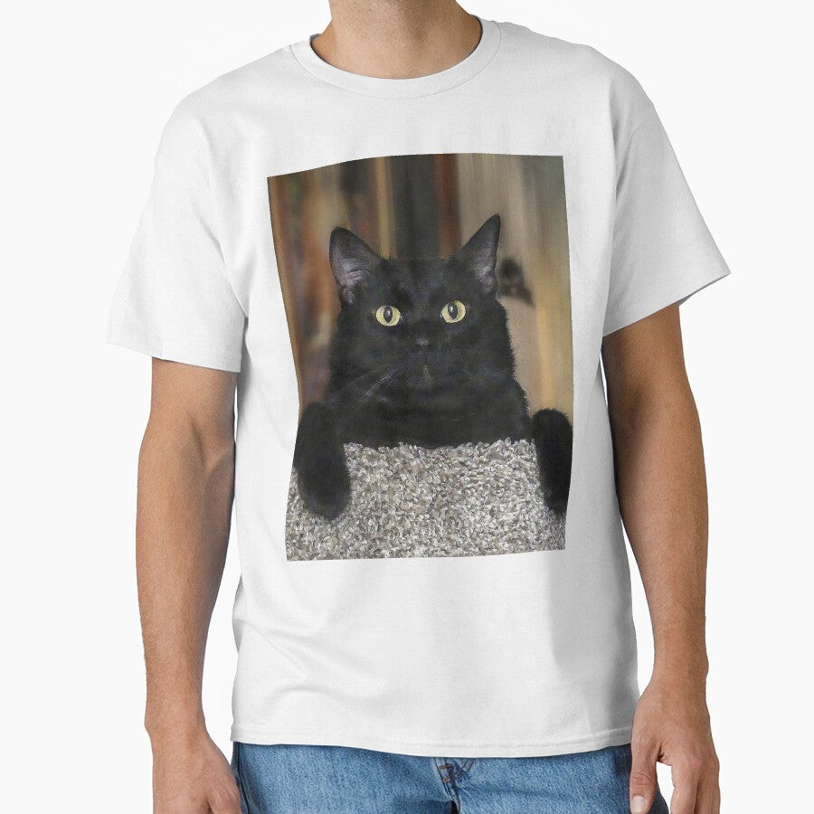 Black Cat by Frankie Cat Photography T-Shirts, Hoodie, Sweatshirt | BlankRebels.com (Image 1)