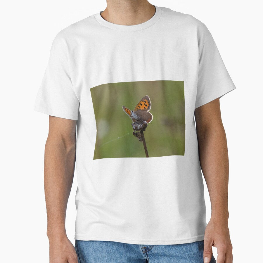Small Copper butterfly by wildlifephoto T-Shirts, Hoodie, Sweatshirt | BlankRebels.com (Image 1)