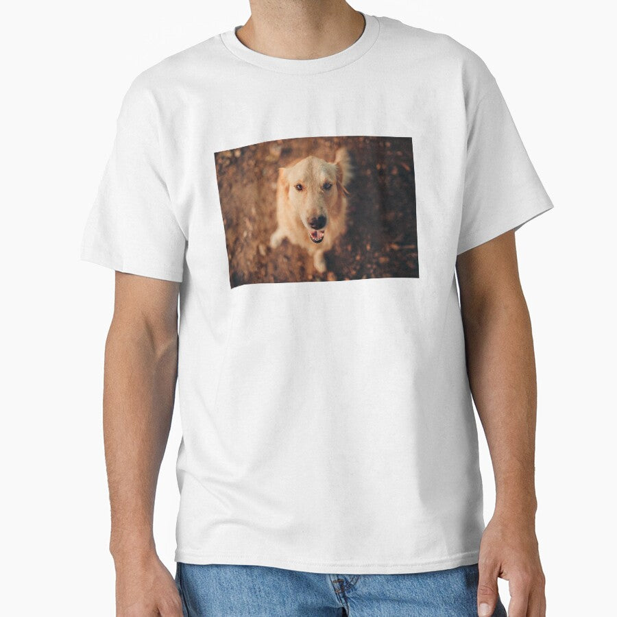 Cute Golden Retriever Photo by TheAnimalZ00 T-Shirts, Hoodie, Sweatshirt | BlankRebels.com (Image 1)