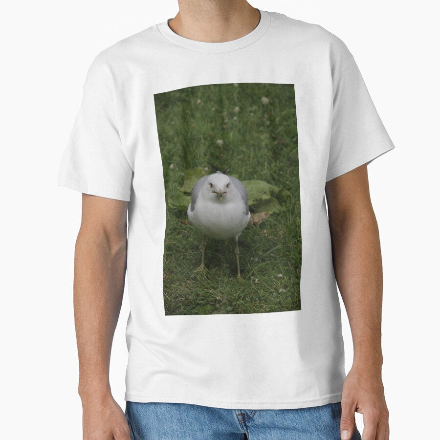 Don't mess with Me!!! - gulls, Ottawa, Ontario by Tracey  Dryka T-Shirts, Hoodie, Sweatshirt | BlankRebels.com (Image 1)