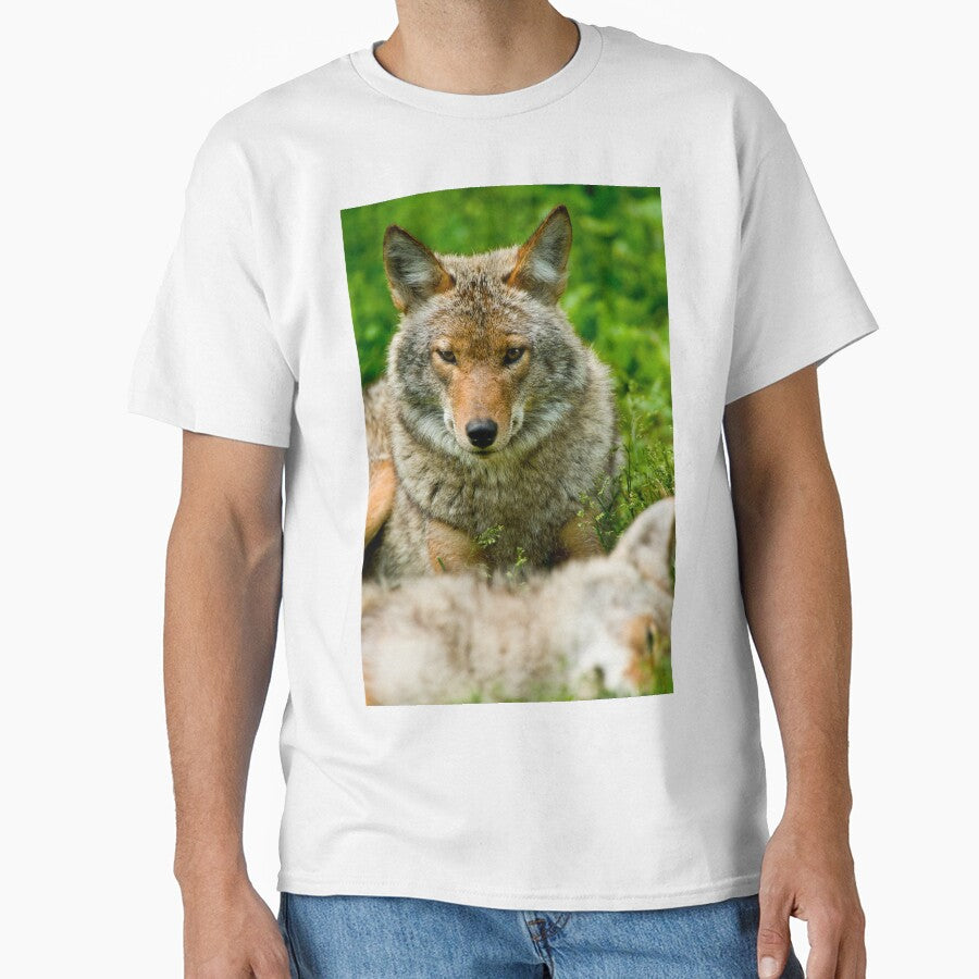 Coyotes by Michael Cummings T-Shirts, Hoodie, Sweatshirt | BlankRebels.com (Image 1)