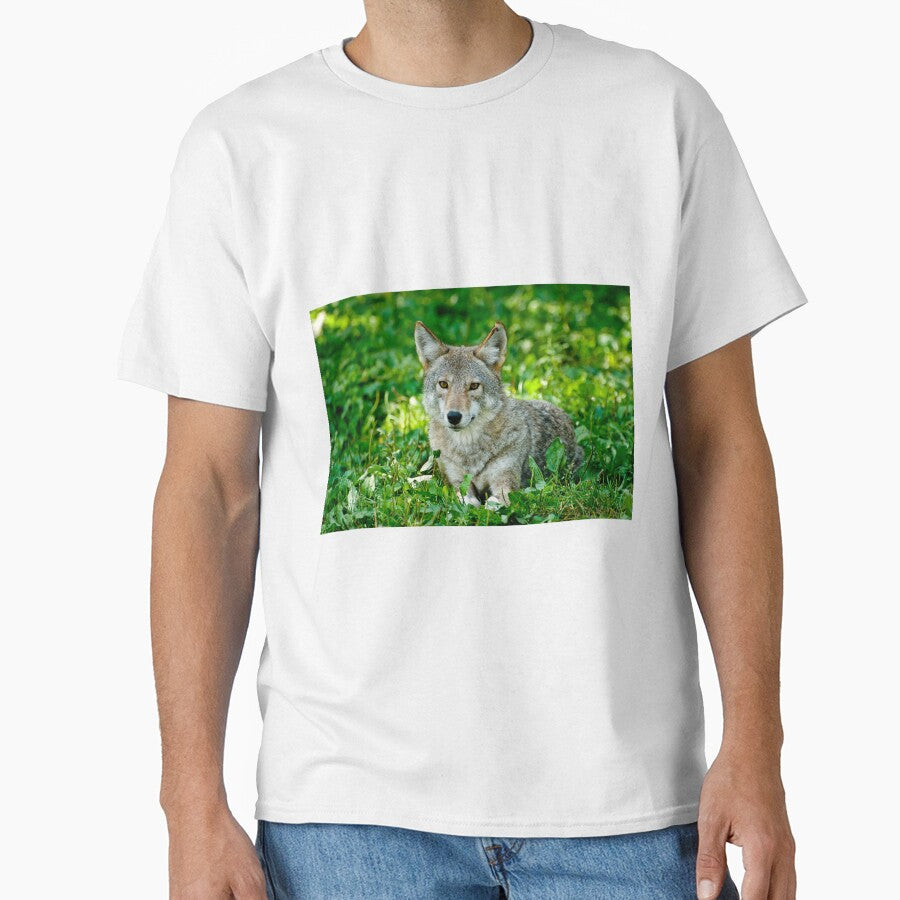 Coyotes - Parc Omega, Montebello, PQ by Tracey  Dryka T-Shirts, Hoodie, Sweatshirt | BlankRebels.com (Image 1)
