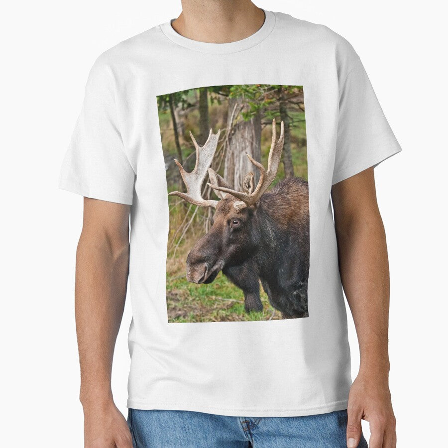 Bull Moose by Michael Cummings T-Shirts, Hoodie, Sweatshirt | BlankRebels.com (Image 1)