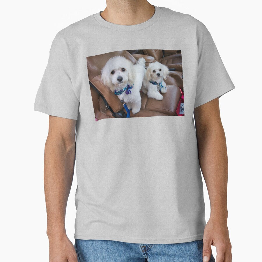 White Fluffy Dogs by edwinvisuals
