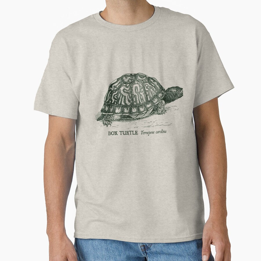 Box Turtle - Vintage scientific illustration by coalfrog