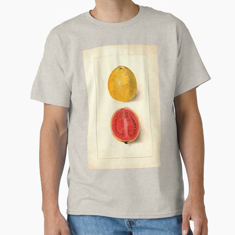 Vintage Botanical Fruit painting cut Guava by Glimmersmith T-Shirts, Hoodie, Sweatshirt | BlankRebels.com (Image 1)
