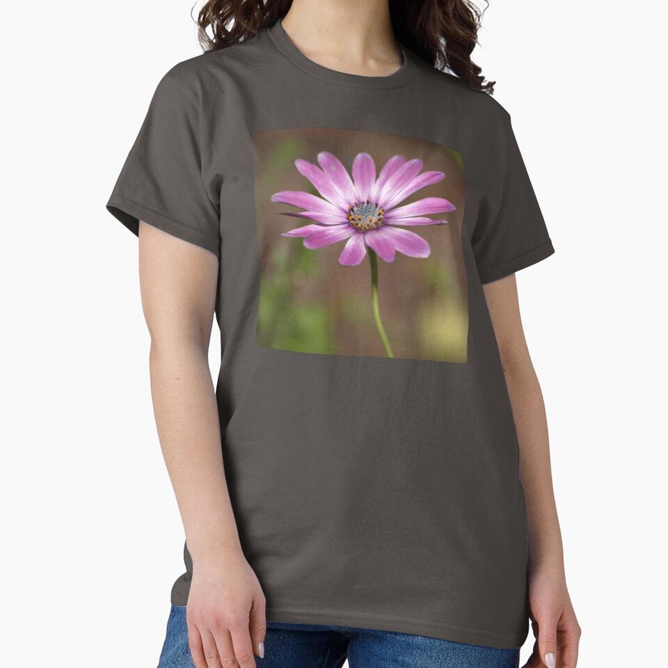 Spring African Daisy by K D Graves Photography