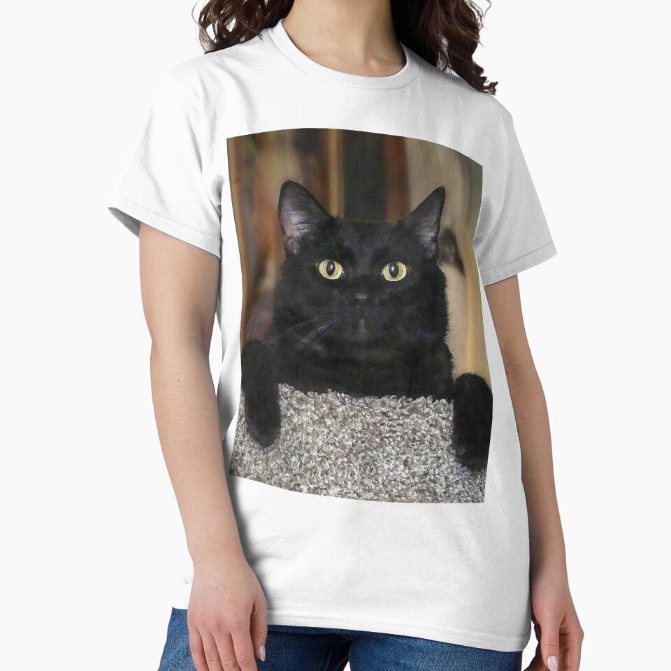 Black Cat by Frankie Cat Photography T-Shirts, Hoodie, Sweatshirt | BlankRebels.com (Image 2)