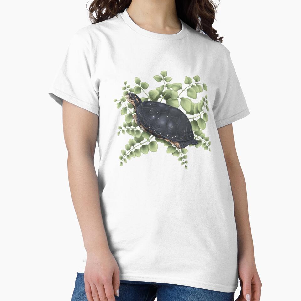 Spotted Turtle by sdawsonart