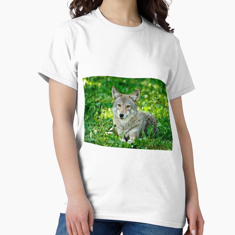 Coyotes - Parc Omega, Montebello, PQ by Tracey  Dryka T-Shirts, Hoodie, Sweatshirt | BlankRebels.com (Image 2)
