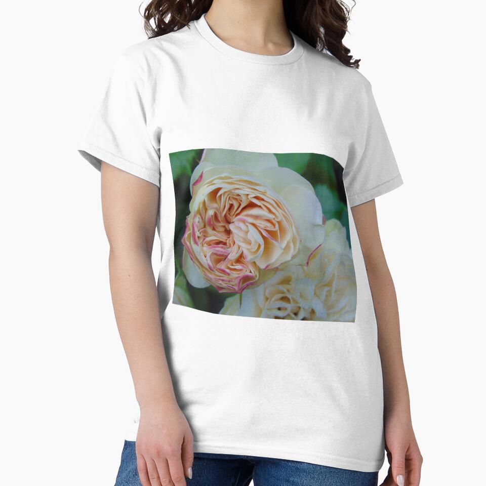 Beautiful rose by lusiakotowska