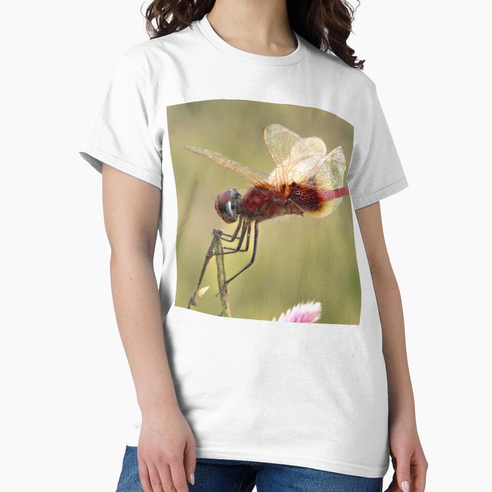Migrating Birds Holiday Stationstores bHorizon by apiolands