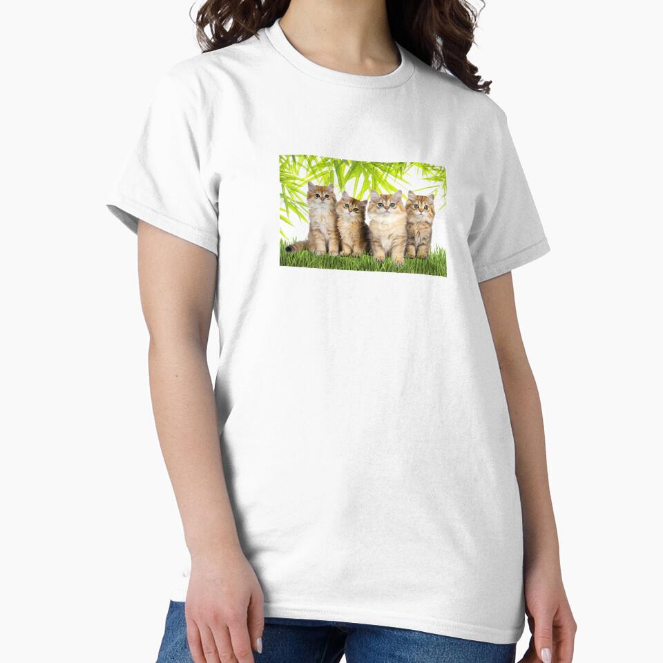 Cats T-Shirts, Hoodie, Sweatshirt