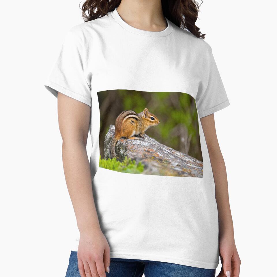 Chipmunk On Rock by Michael Cummings T-Shirts, Hoodie, Sweatshirt | BlankRebels.com (Image 2)