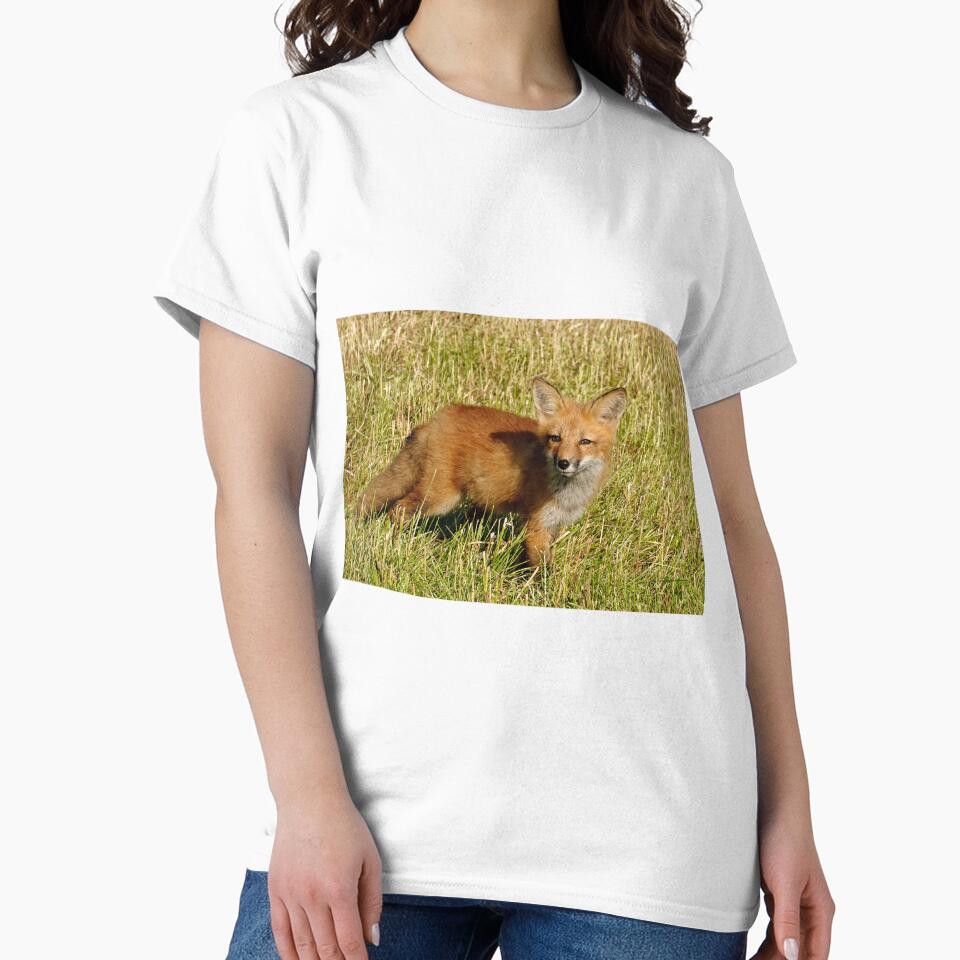Checking things out!  Red fox kit - Ottawa, Ontario by Tracey  Dryka T-Shirts, Hoodie, Sweatshirt | BlankRebels.com (Image 2)
