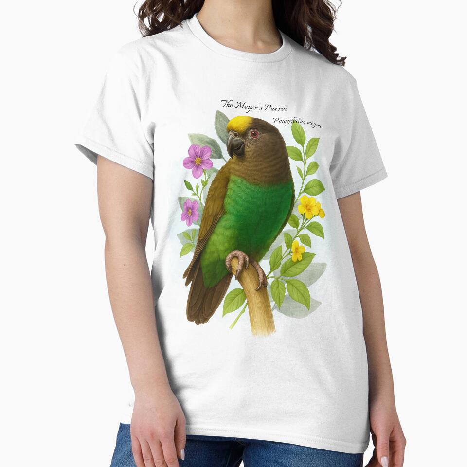The Meyer's Parrot Scientific illustration Design by AvianDesign