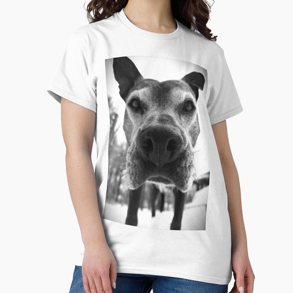 Bear by Solas Photo Co. T-Shirts, Hoodie, Sweatshirt | BlankRebels.com (Image 2)