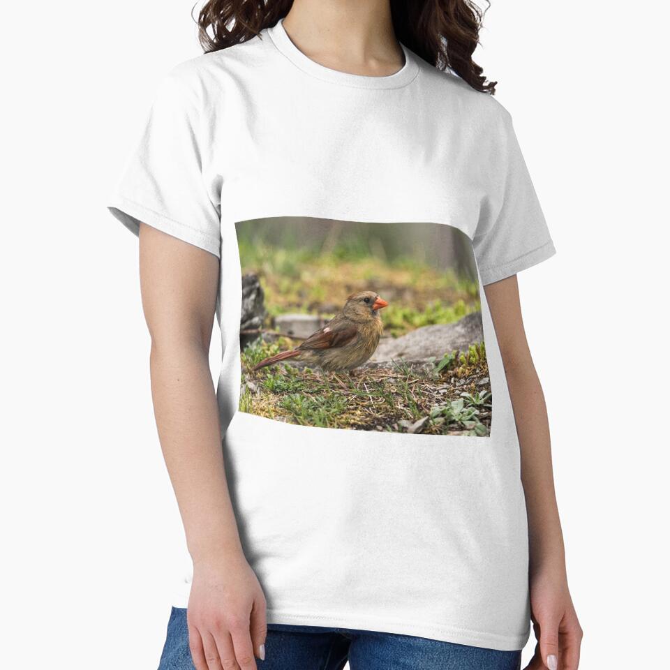 Female Northern Cardinal by Michael Cummings T-Shirts, Hoodie, Sweatshirt | BlankRebels.com (Image 2)