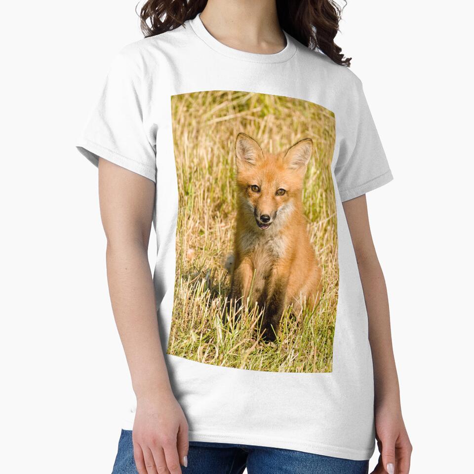 Watcha lookin at!!  Red fox kit - Ottawa, Ontario by Tracey  Dryka T-Shirts, Hoodie, Sweatshirt | BlankRebels.com (Image 2)