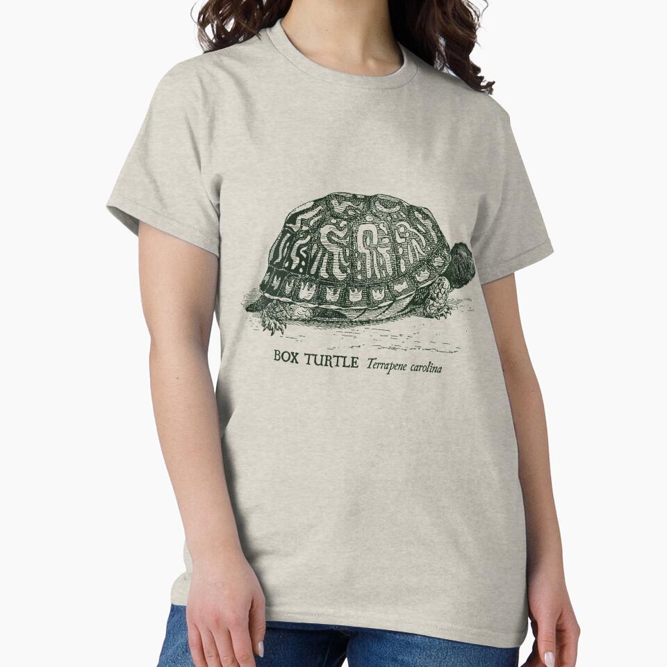 Box Turtle - Vintage scientific illustration by coalfrog