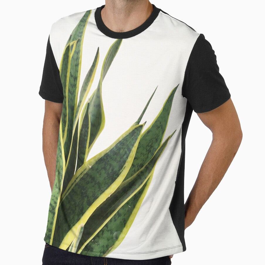 Sansevieria by Cassia Beck