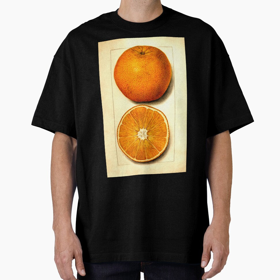 Vintage Botanical Navel Orange Watercolor Fruit Painting by Glimmersmith T-Shirts, Hoodie, Sweatshirt (Image 1)