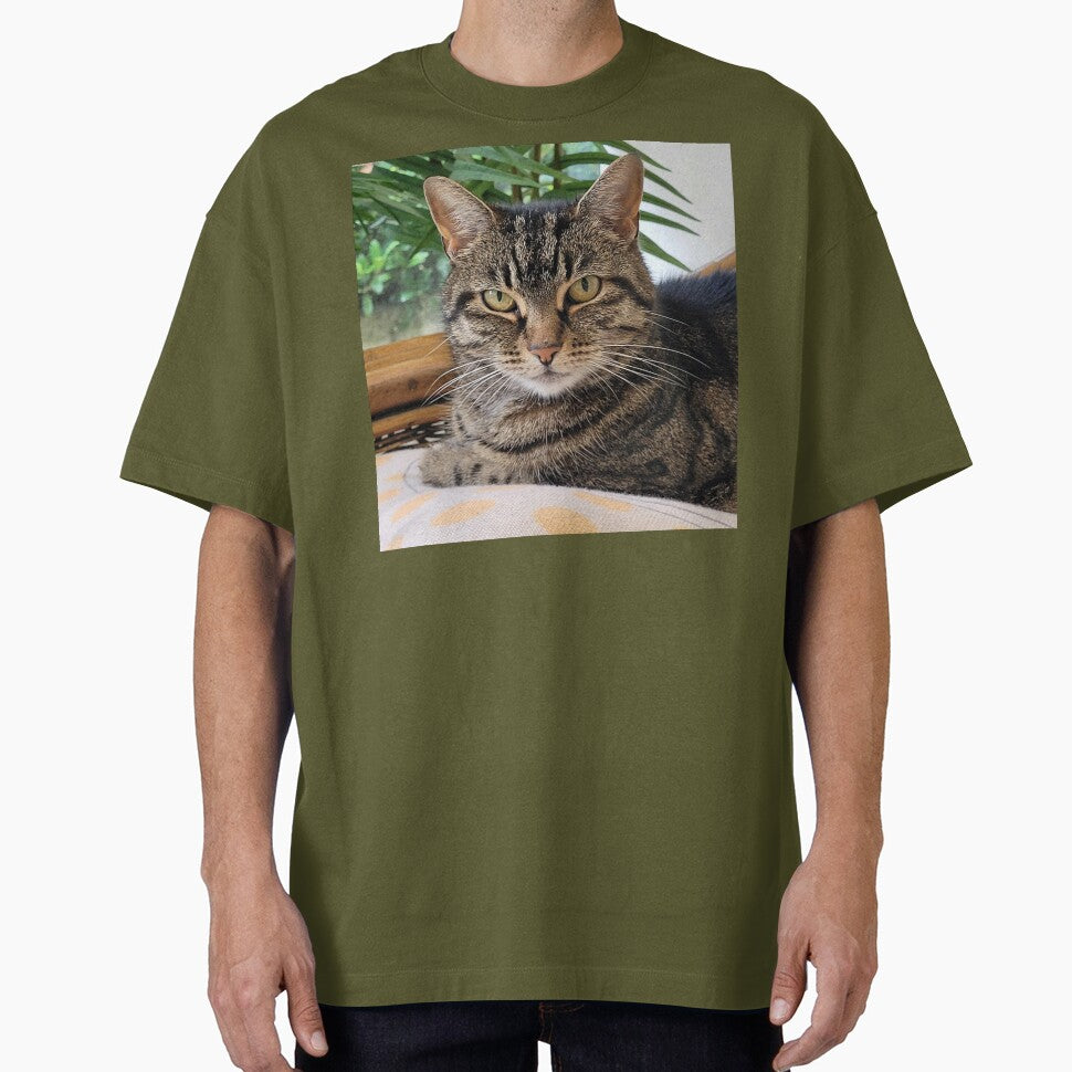 My beautiful cat Rory sitting in the conservatory by OhNoNotAgain42 T-Shirts, Hoodie, Sweatshirt | BlankRebels.com (Image 1)