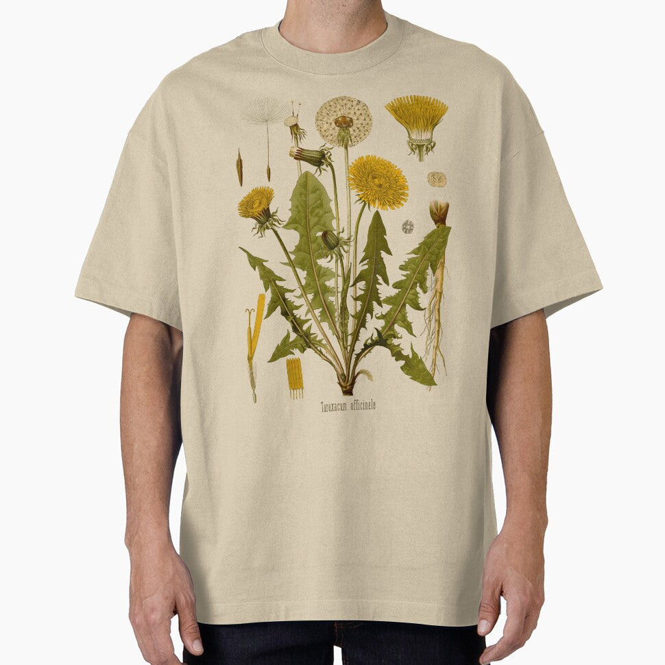 DANDELION Antique botanical illustration by FLIP-original
