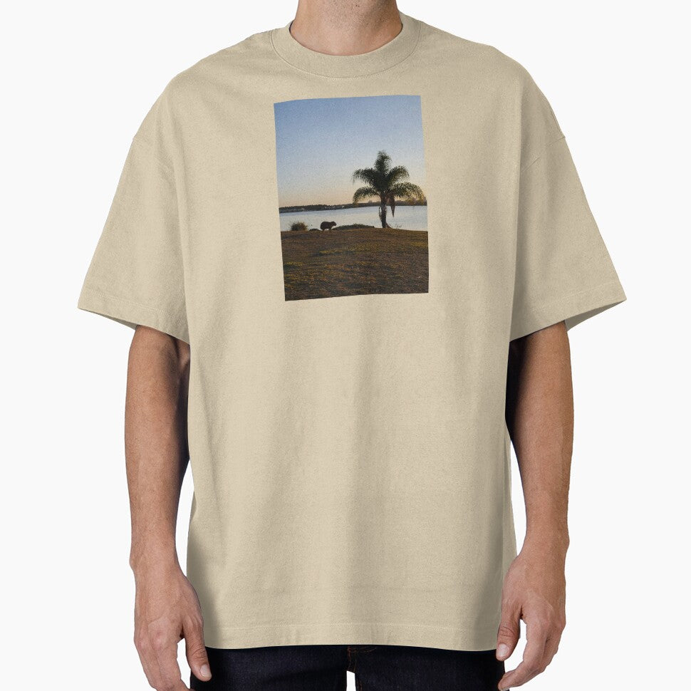 Chill Capybara, Brasília, Brazil by louisejumped T-Shirts, Hoodie, Sweatshirt | BlankRebels.com (Image 1)