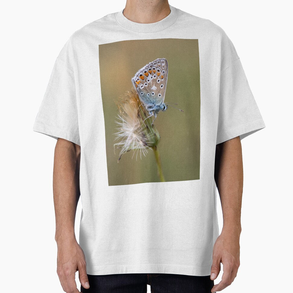 Common Blue butterfly by wildlifephoto T-Shirts, Hoodie, Sweatshirt | BlankRebels.com (Image 1)