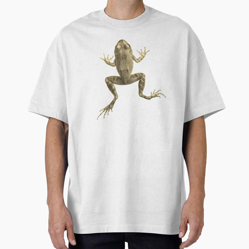 Scientific Illustration of a Frog by bookishneighbor T-Shirts, Hoodie, Sweatshirt | BlankRebels.com (Image 1)