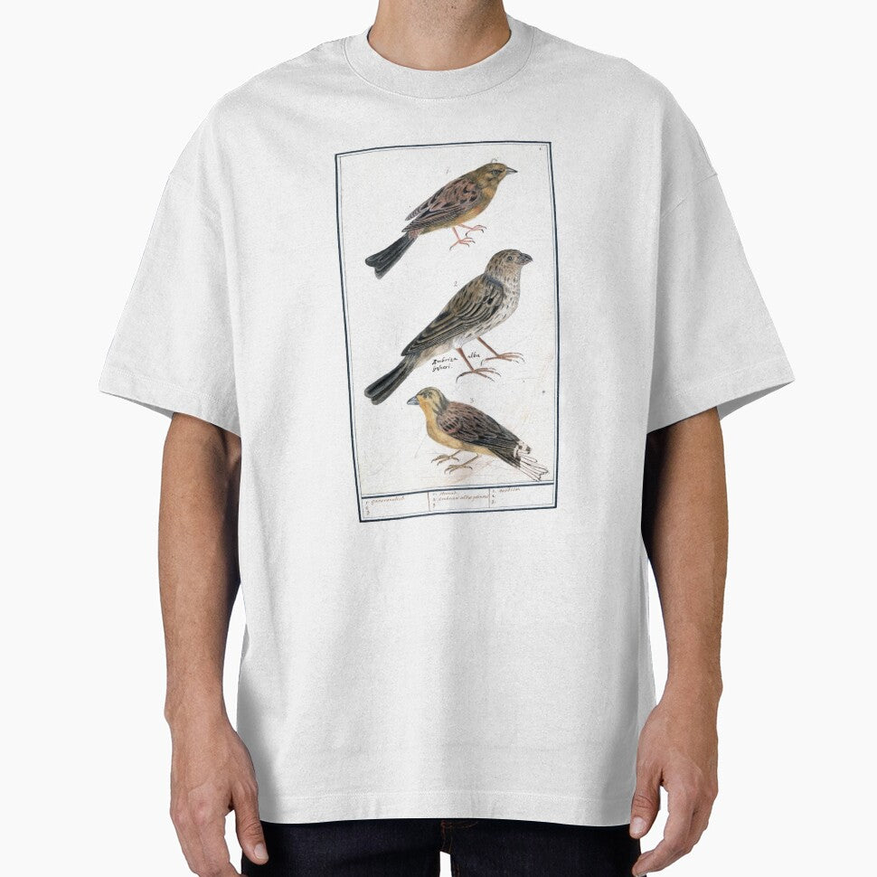 Vintage bird illustration, vintage by Blaubeerspinne T-Shirts, Hoodie, Sweatshirt | BlankRebels.com (Image 1)