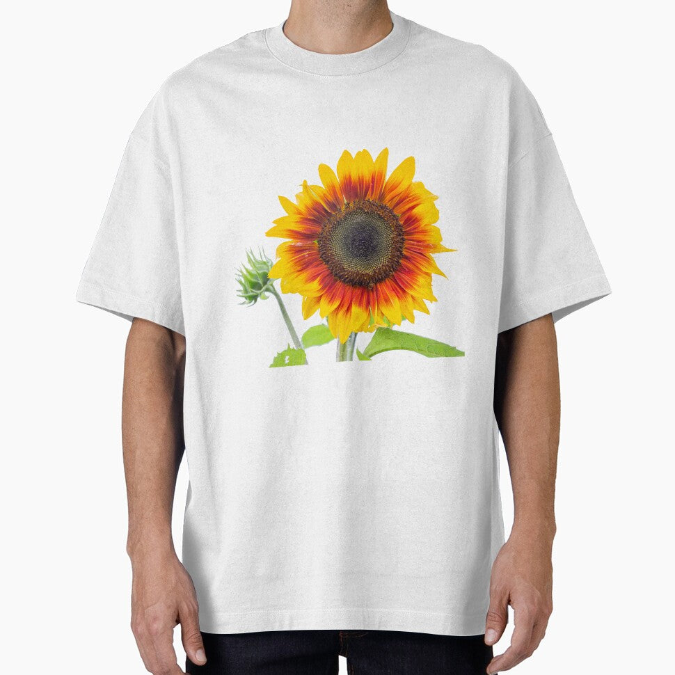Sunflower 2018-1 by Thomasyoung