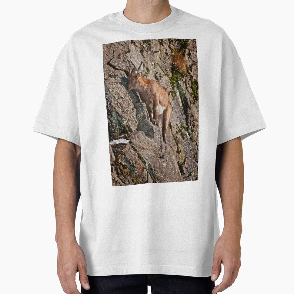 Ibex On Rocks by Michael Cummings T-Shirts, Hoodie, Sweatshirt | BlankRebels.com (Image 1)