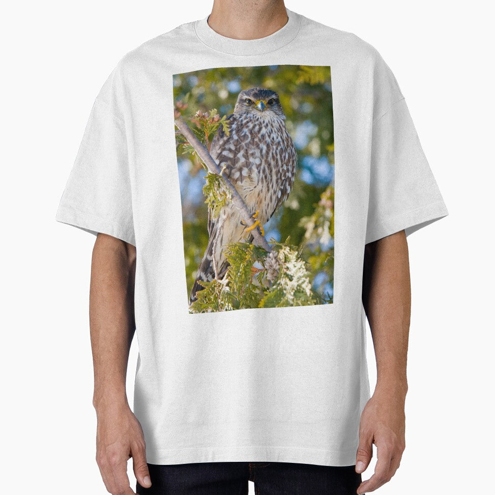 Merlin Falcon by Michael Cummings T-Shirts, Hoodie, Sweatshirt | BlankRebels.com (Image 1)