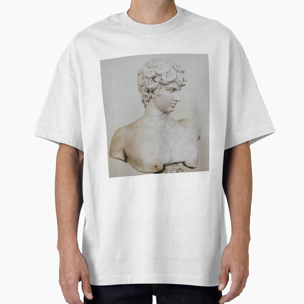 Ludovisi Antinous by apopofbeauty T-Shirts, Hoodie, Sweatshirt | BlankRebels.com (Image 1)