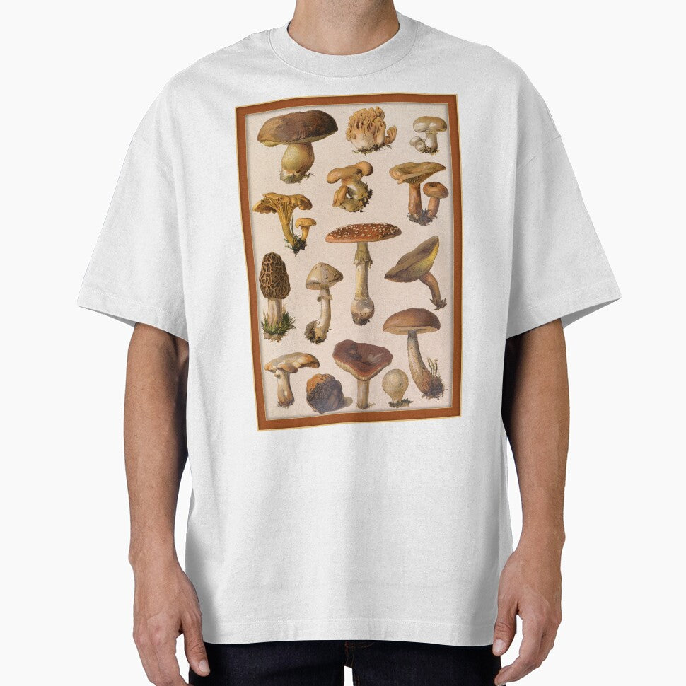 Variety of Botanical Mushrooms by Tridentulus T-Shirts, Hoodie, Sweatshirt | BlankRebels.com (Image 1)