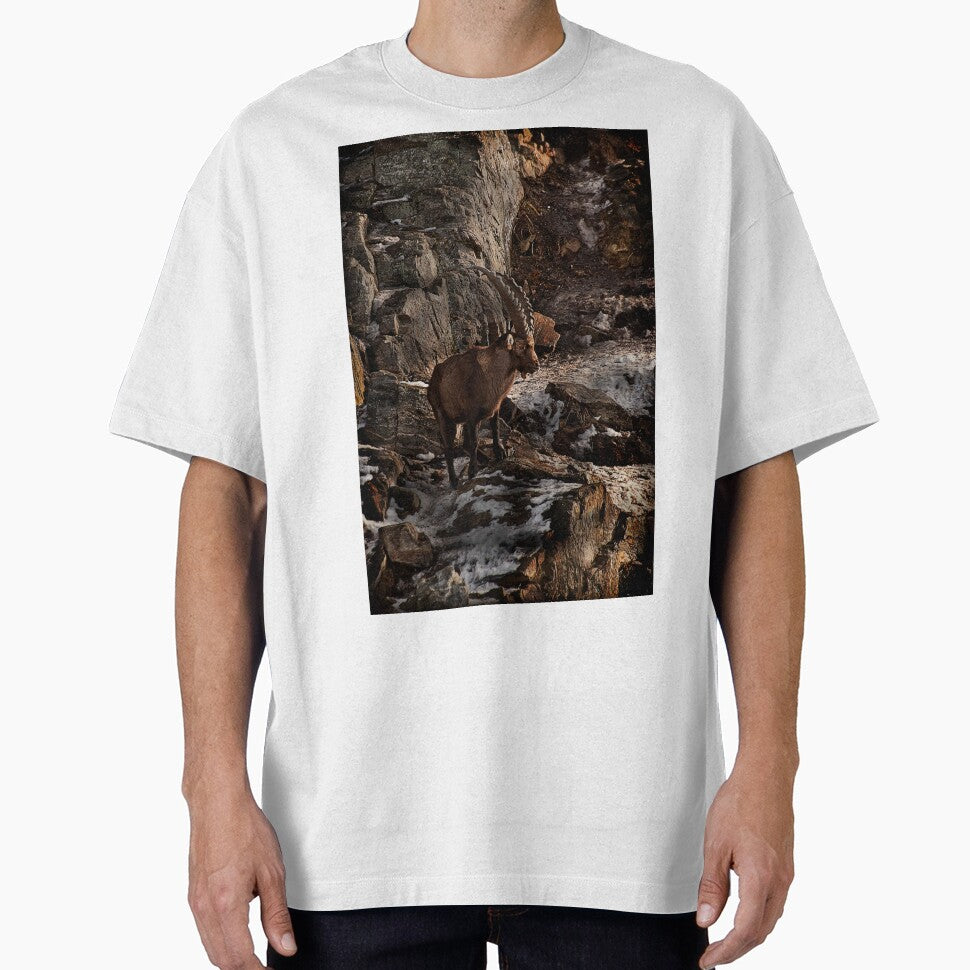 Ibex On Snow Covered Rocks by Michael Cummings T-Shirts, Hoodie, Sweatshirt | BlankRebels.com (Image 1)
