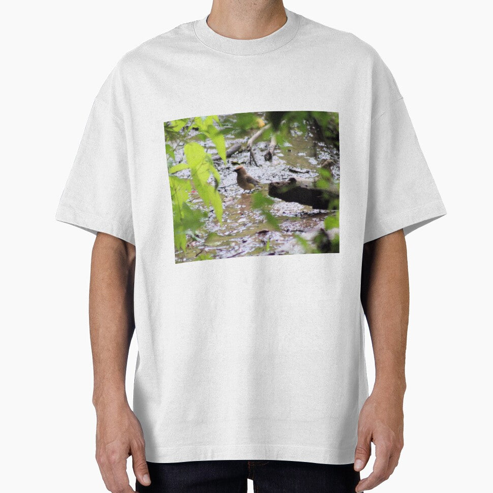 CEDAR WAXWING by BOLLA67 T-Shirts, Hoodie, Sweatshirt | BlankRebels.com (Image 1)