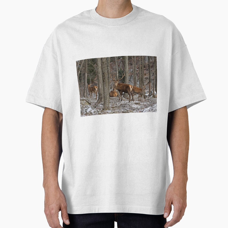 Elks In The Woods by Michael Cummings T-Shirts, Hoodie, Sweatshirt | BlankRebels.com (Image 1)