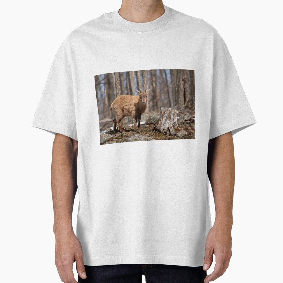 Young Ibex by Michael Cummings T-Shirts, Hoodie, Sweatshirt | BlankRebels.com (Image 1)