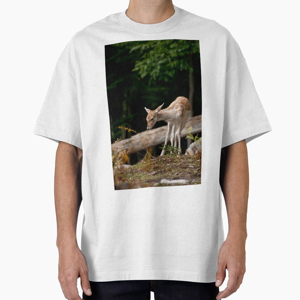 Fallowdeer - Parc Omega, Montebello, PQ by Tracey  Dryka T-Shirts, Hoodie, Sweatshirt | BlankRebels.com (Image 1)