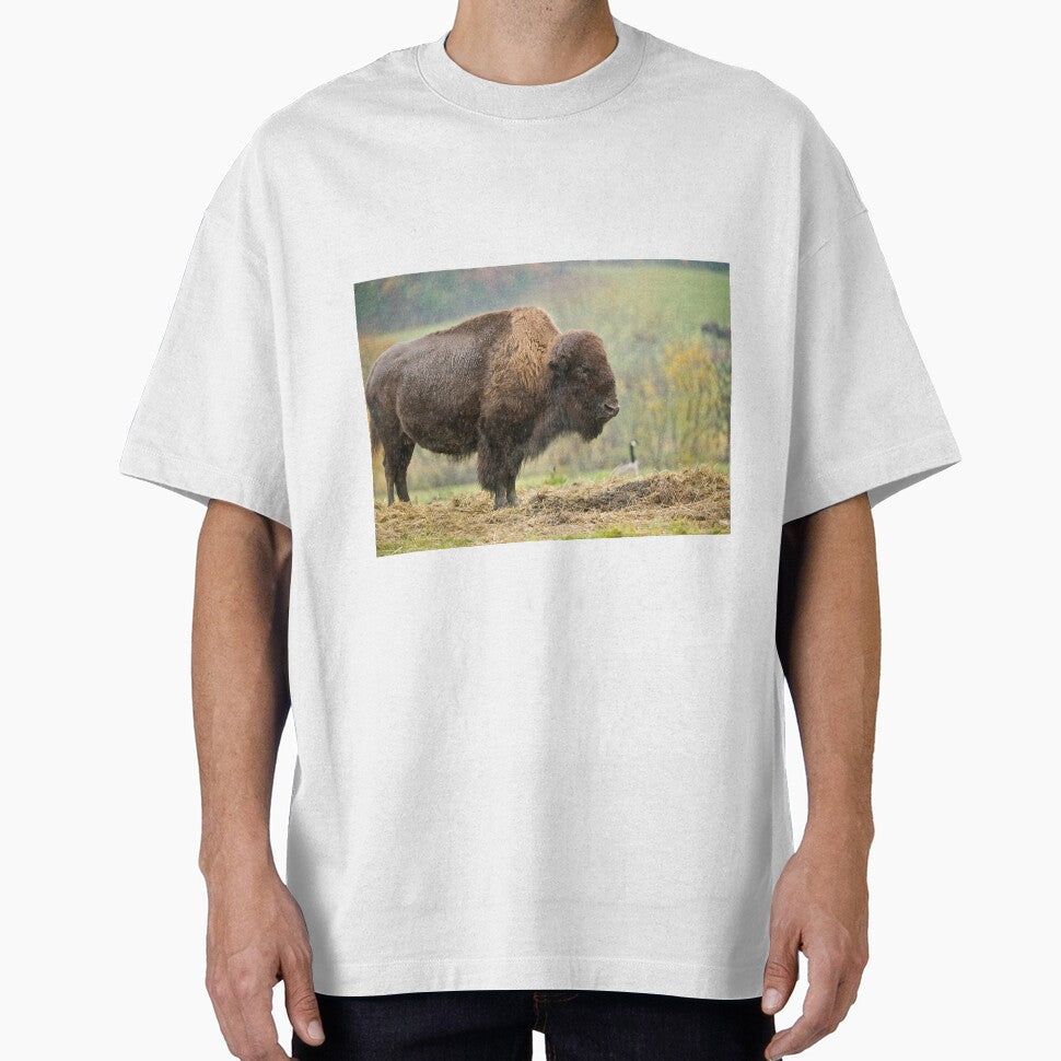Bison by Michael Cummings T-Shirts, Hoodie, Sweatshirt | BlankRebels.com (Image 1)
