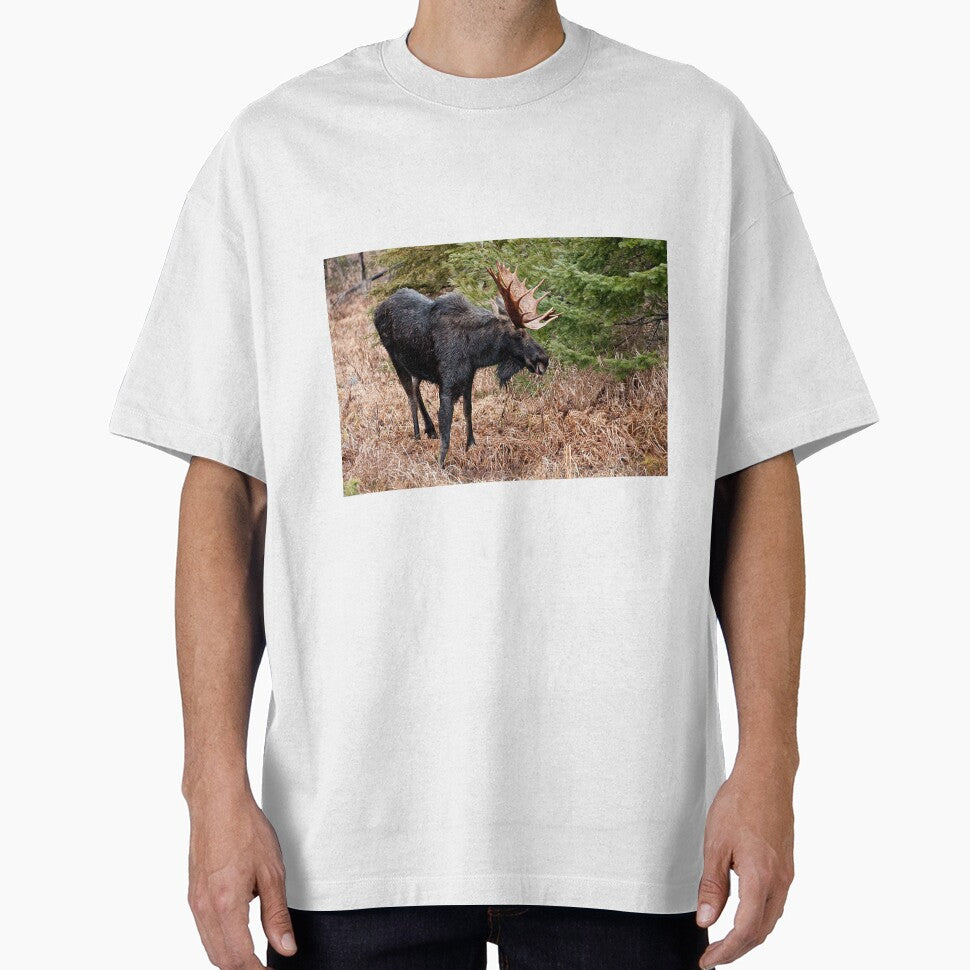 Bullwinkle - Algonquin Park, Ontario by Tracey  Dryka T-Shirts, Hoodie, Sweatshirt | BlankRebels.com (Image 1)