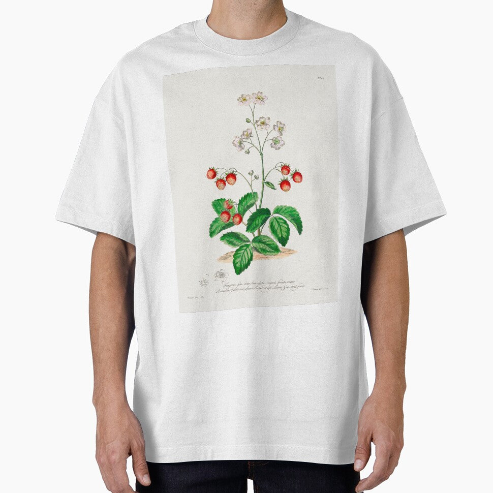 Strawberry Plants | Strawberry Antique Botanical Illustration by TeeARTHY T-Shirts, Hoodie, Sweatshirt (Image 1)