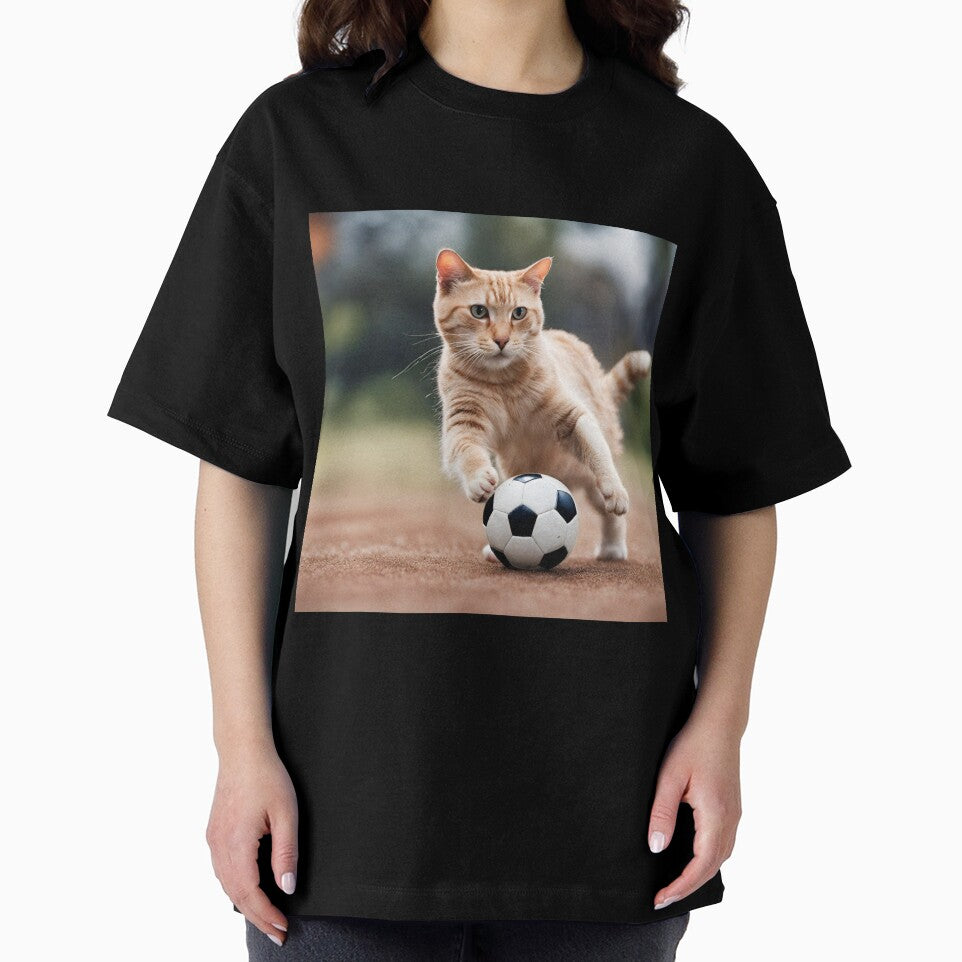 cat playing football by pig2u