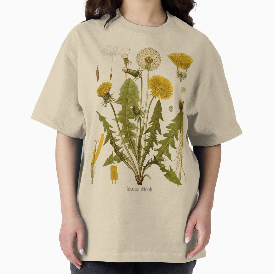 DANDELION Antique botanical illustration by FLIP-original T-Shirts, Hoodie, Sweatshirt | BlankRebels.com (Image 2)