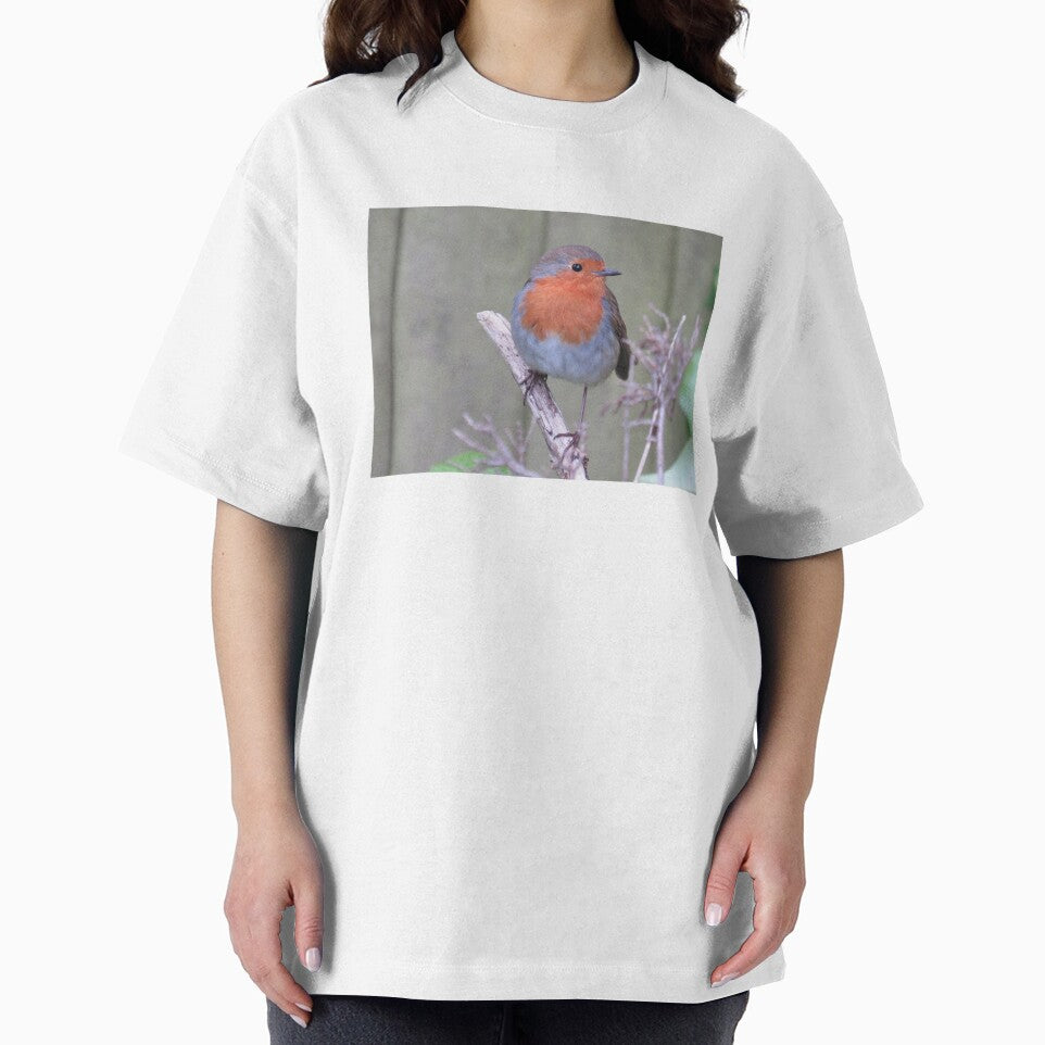 Rocky the Robin by QuotationInsp T-Shirts, Hoodie, Sweatshirt | BlankRebels.com (Image 2)